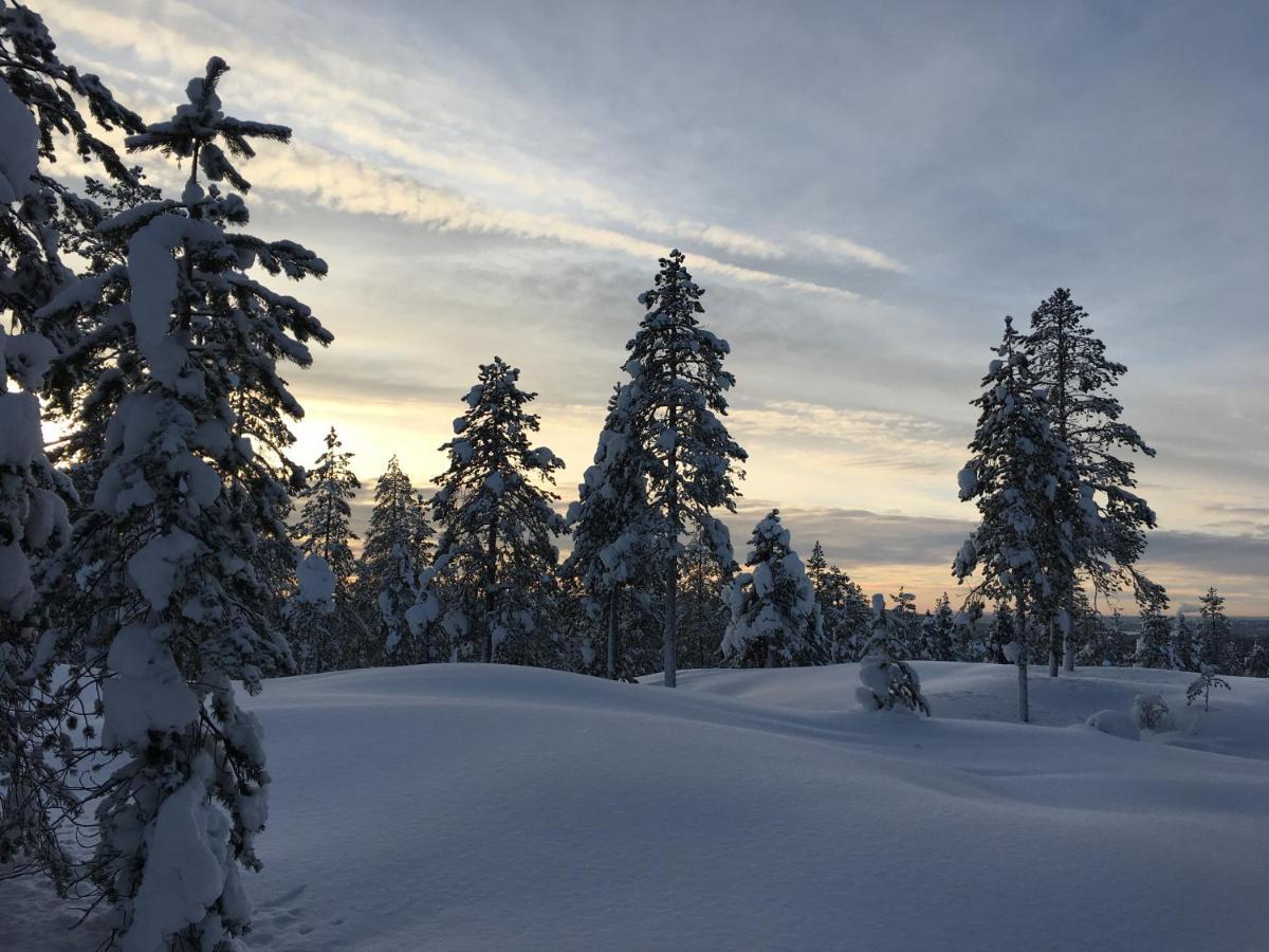 Apartment Elviira Rovaniemi Zewnętrze zdjęcie